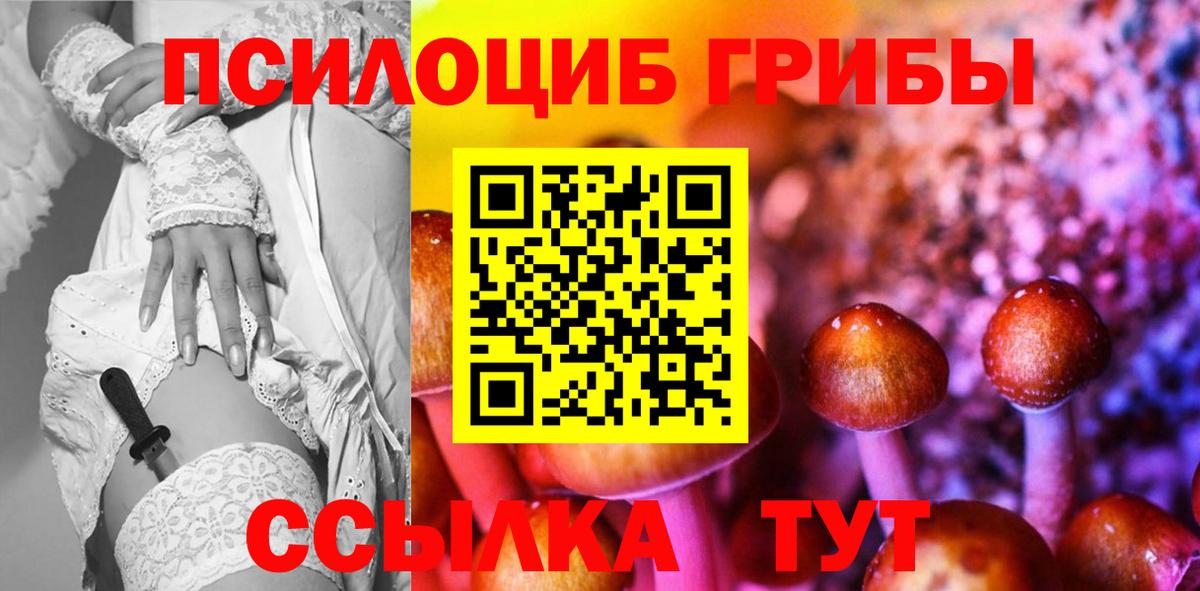 Псилоцибиновые грибы мухоморы  Галлюциногенные грибы Psilocybe  Миллерово  Вход с VPN 